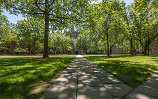 Exterior Yale campus in the summer.