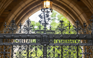 Harkness gate, close up.